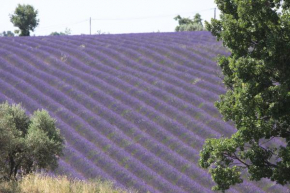 B&B La Grande Dame, Valensole